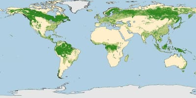 澳大利亚的森林地图